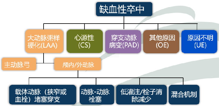 脑梗死病因如何分型？只会 TOAST 分型可不够！-医博网