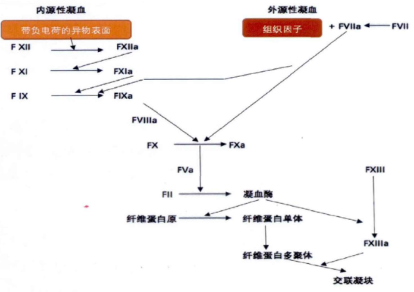 凝血七项的临床意义最全解读，盘这篇就够了！-医博网