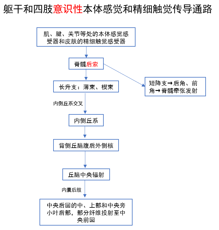 「闭目难立征」阳性，别只想到小脑病变！-医博网