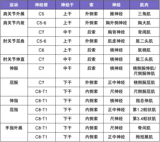 周围神经病、颈椎病.…..临床常见肌电图怎么看？-医博网