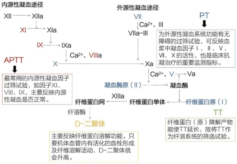 华法林、阿加曲班、低分子肝素…抗凝药如何选择？出血怎么处理？-医博网